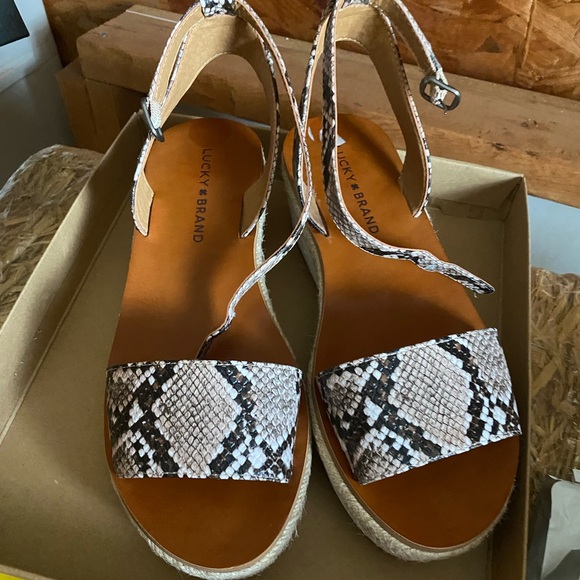 NWT Lucky Brand LP-Jeneka Latte Dream Snake Platform Size 8 - Picture 4 of 9
